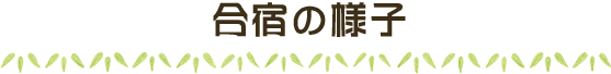 大自然の中での合宿